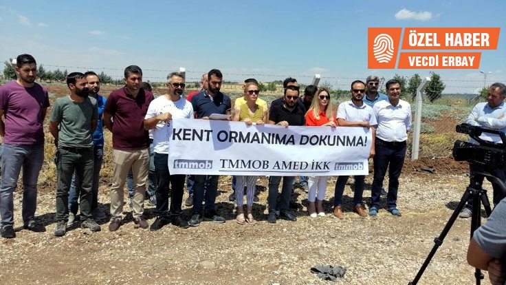 Kent Ormanı’nın yok edilmesine yargı ‘dur’ dedi